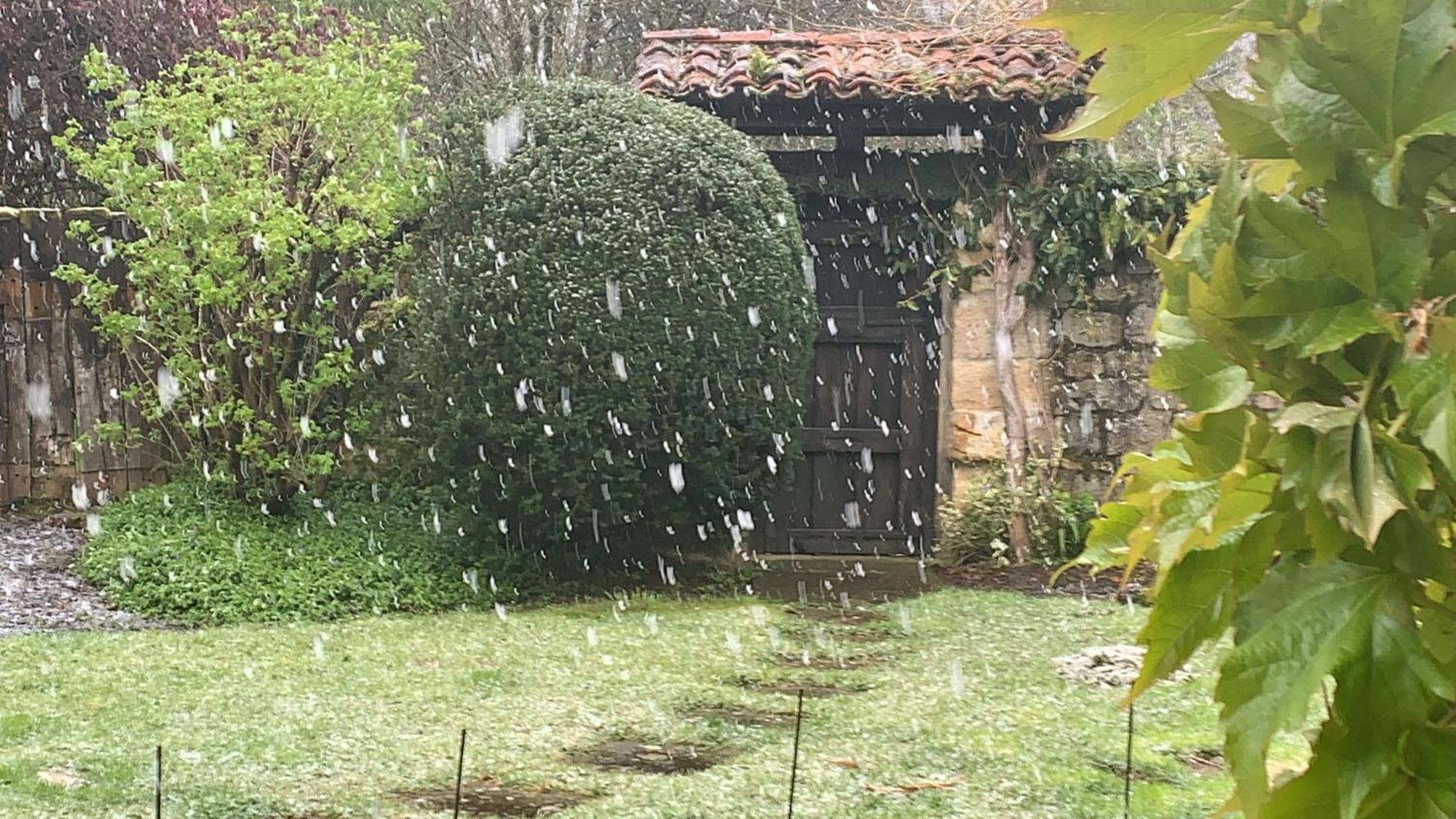 Remanso Del Rio Saja Villa Renedo De Cabuerniga Eksteriør bilde